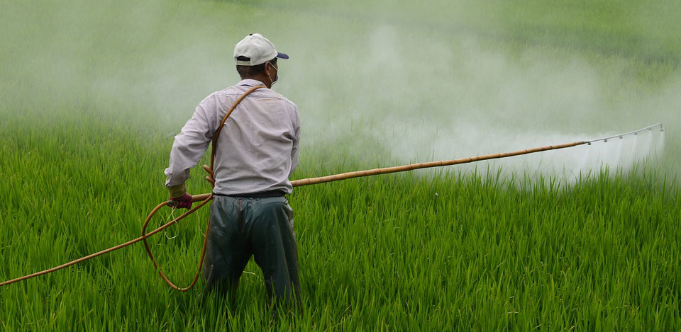 Roundup Weed Killer Compensation Claims